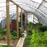 purpose of having a greenhouse