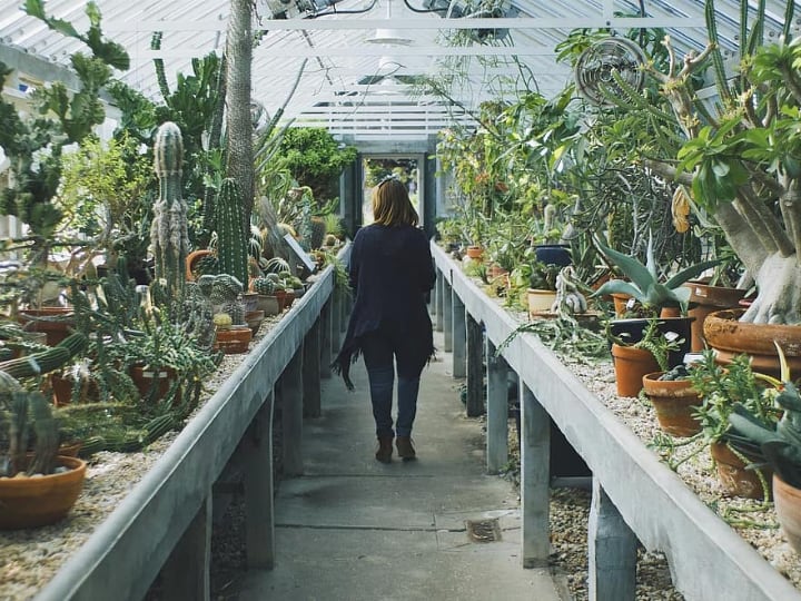 walking on a greenhouse