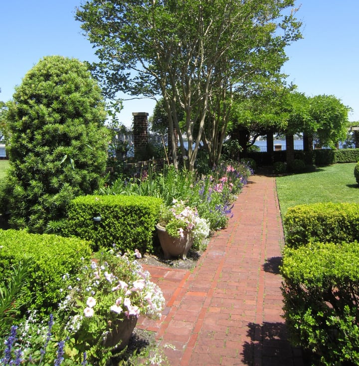 garden with fast growing trees