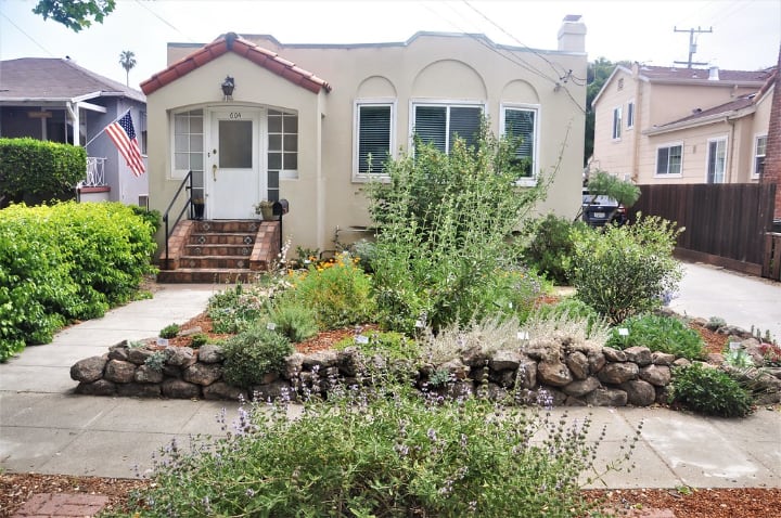 native plant garden