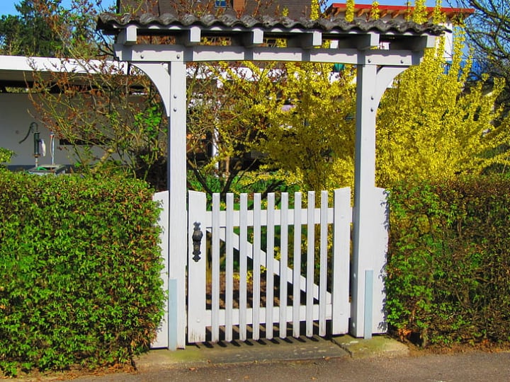 shrub privacy fencing in the garden