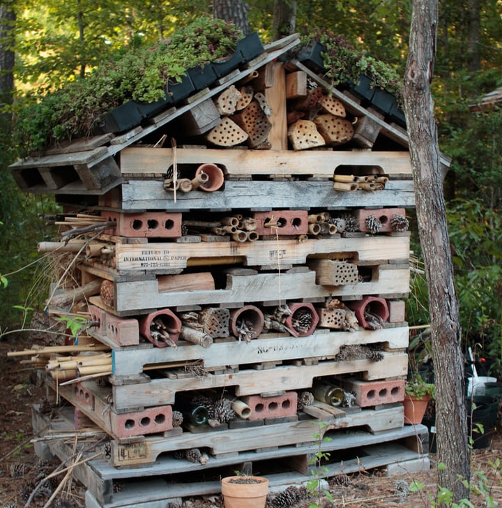 garden bees house