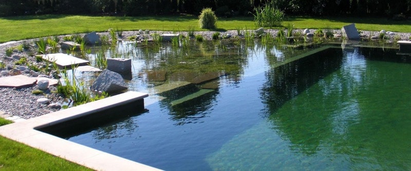 natural swimming pools landscaping design