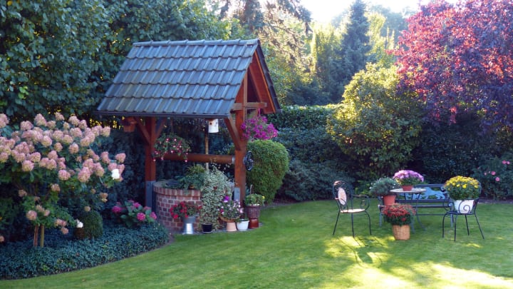 backyard flower garden