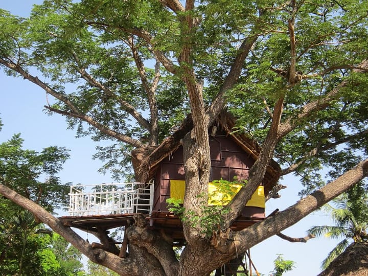 backyard treehouse