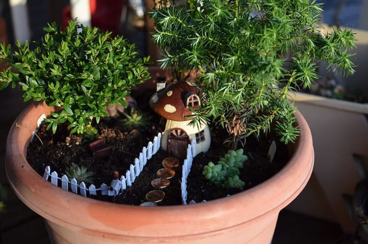 fairy house pot with potting mix