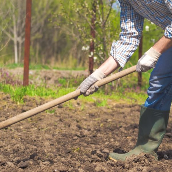 farmer using a garden hoe