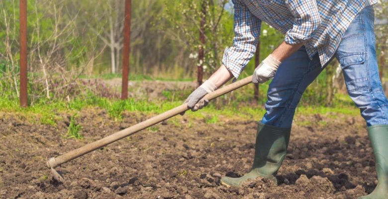 Hand Hoe Garden Tool, Small Gardening Hoe For Removing Weeds Around Delicate Flo