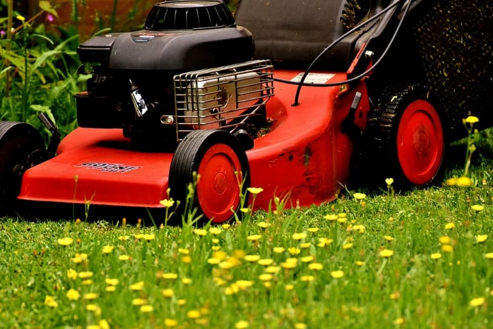 gas push mower