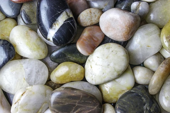 pebble layer on terrarium