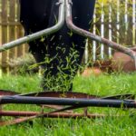 push mower in action on the garden