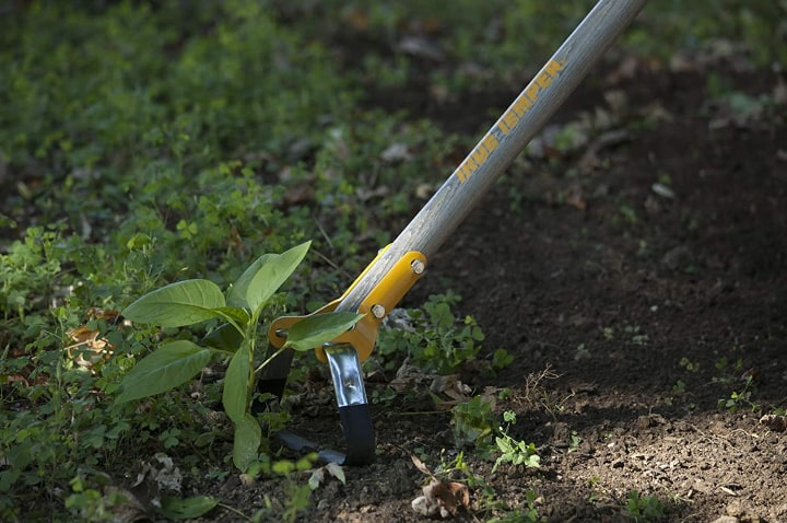 stirrup gardening hoe