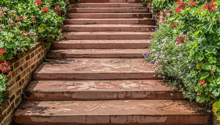 stone steps in the backyard garden