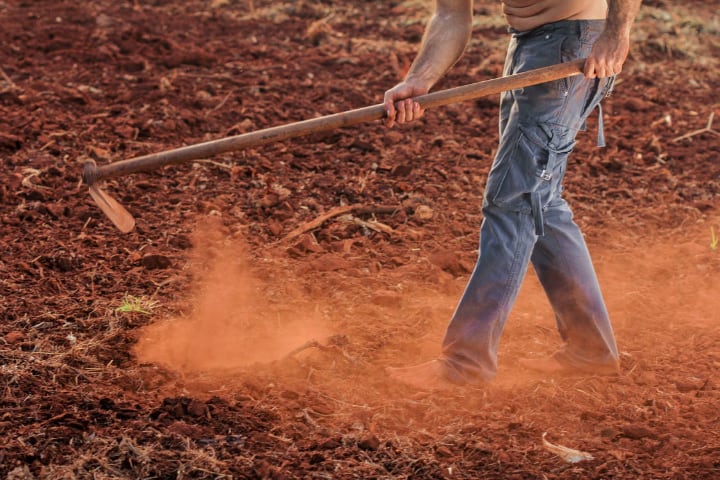 using a garden hoe to dig