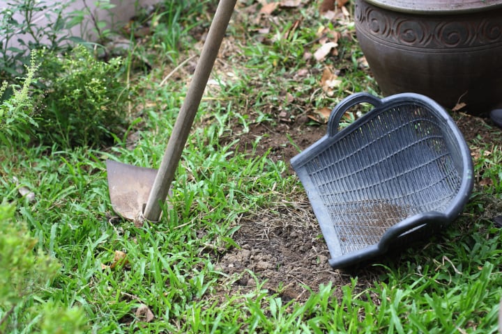 wooden shaft garden hoe