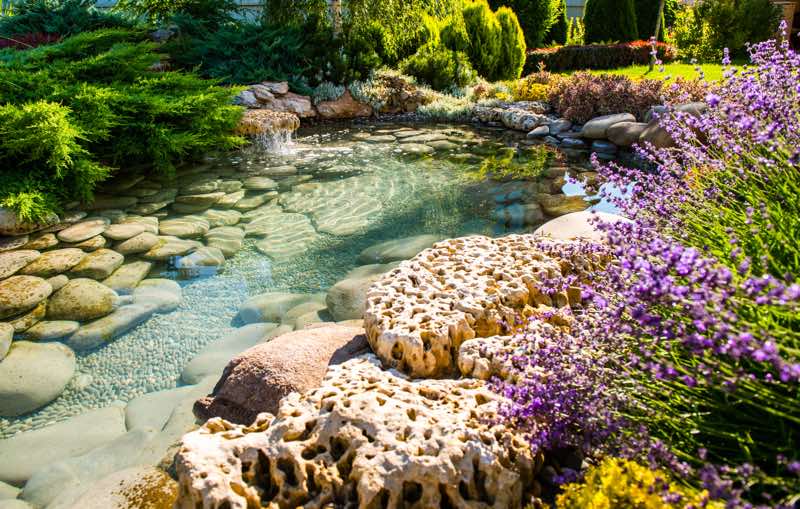 landscaping rocks ideas