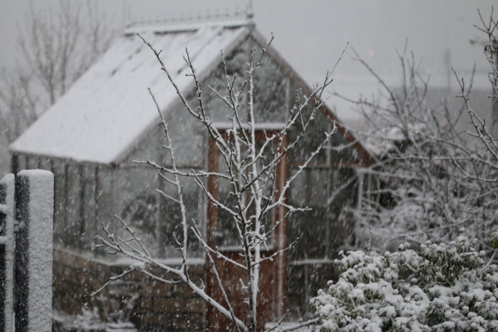 a framed greenhouse in winter