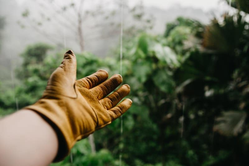 gloves gardening