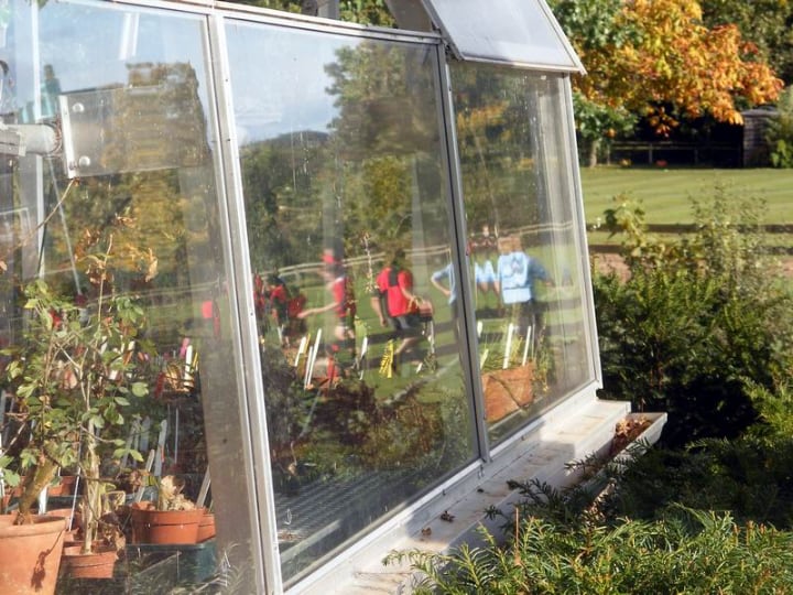 greenhouse with good drainage