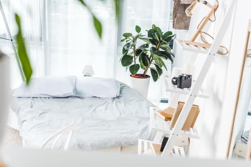 indoor plants bedroom