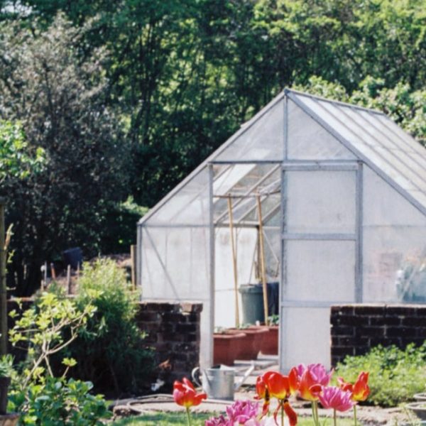 mini green house at home