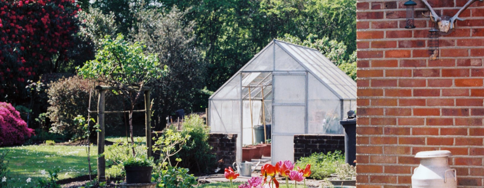 Small Greenhouses an Easy Guide + 6 Tips for Building One