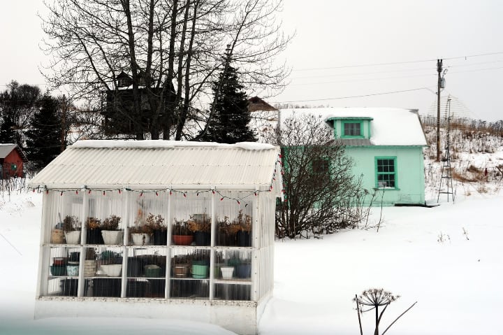 protecting plants from the bad weather