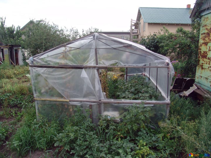 small diy plastic greenhouse