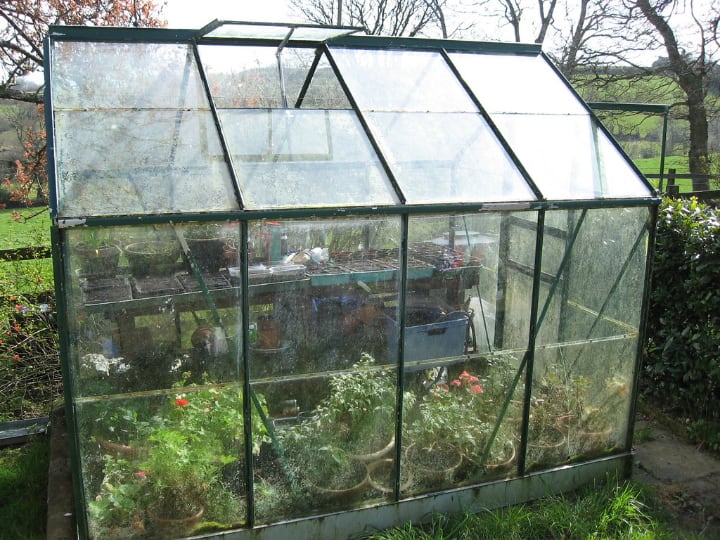 small greenhouse in a small garden