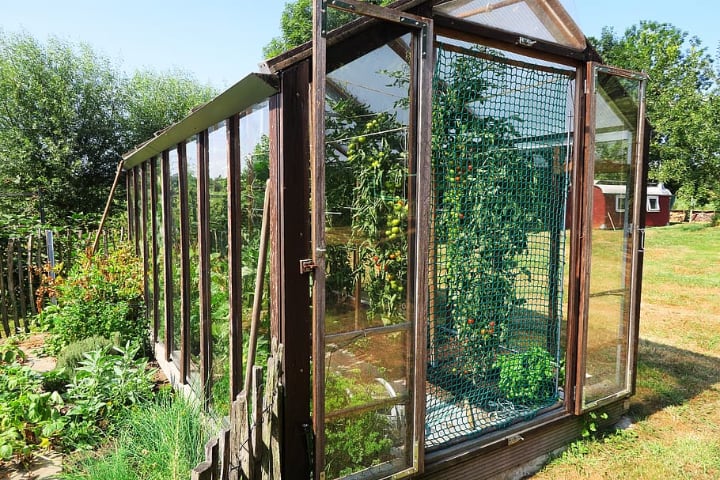 small wooden greenhouse