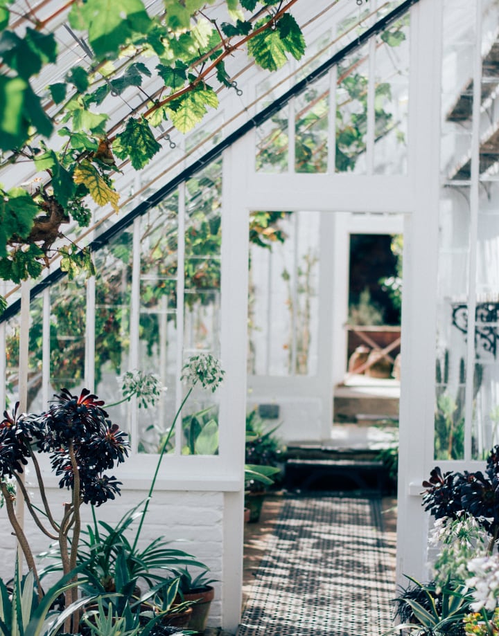 white greenhouse