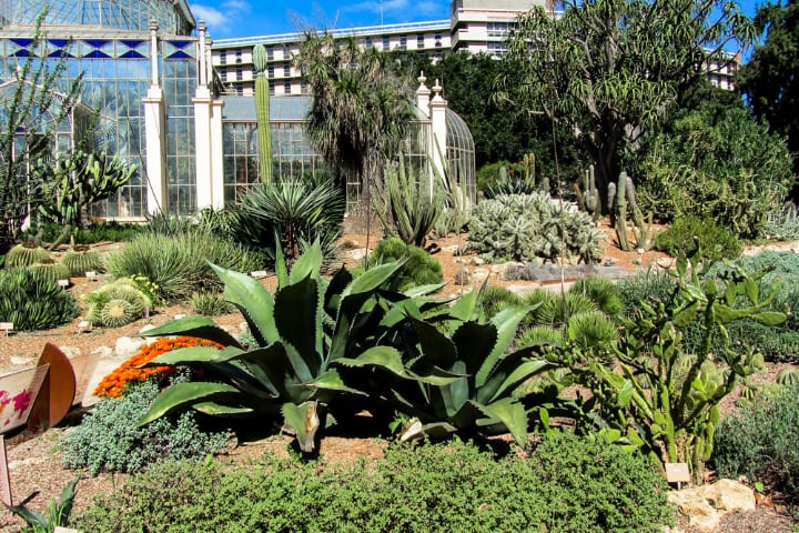 adelaide botanic garden