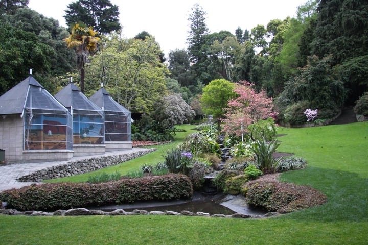 napier botanic garden