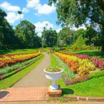 royal botanic garden