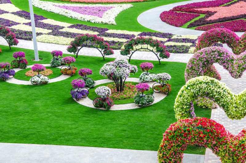 Rose flower garden ideas