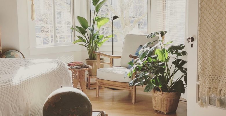Plants For Bedroom 30 Best Bedroom Plants To Improve Sleep Quality