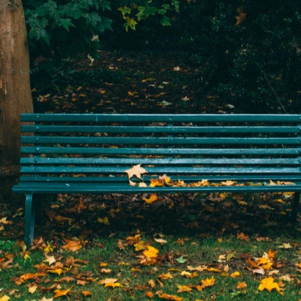 dark green garden bench