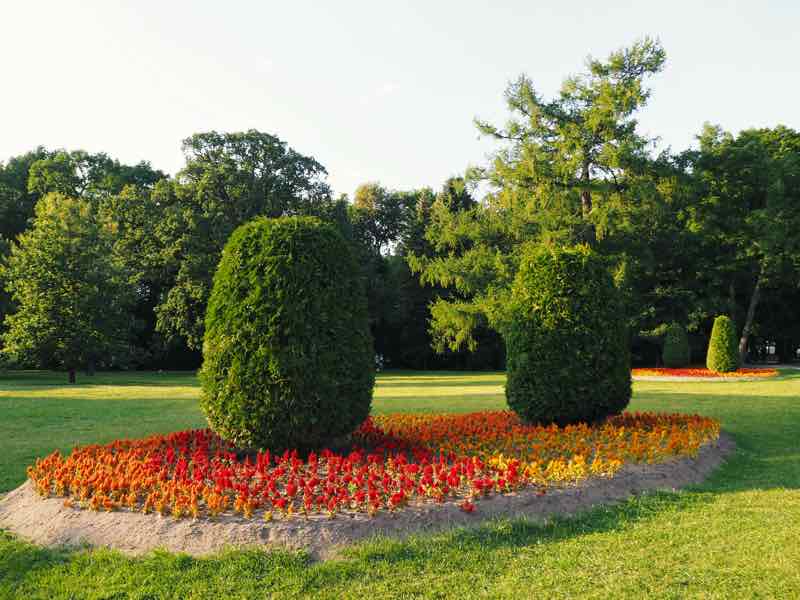 flower garden border