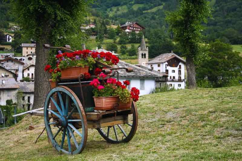 flowers carriage 1