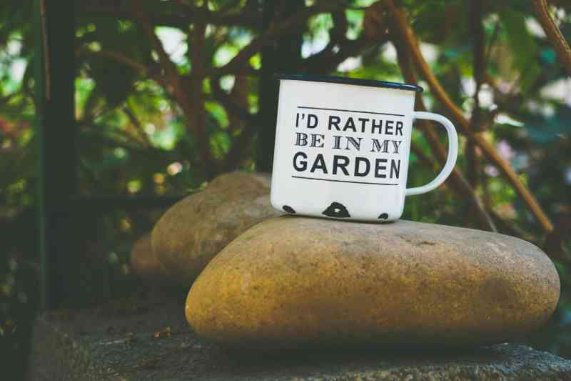 mug in secret garden