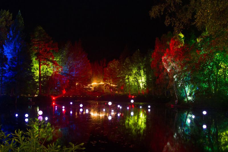 enchanted forest garden lights