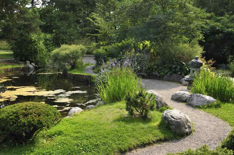 japanese dry garden design