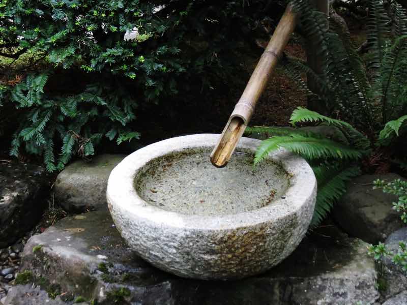 bamboo fountain Japanese garden