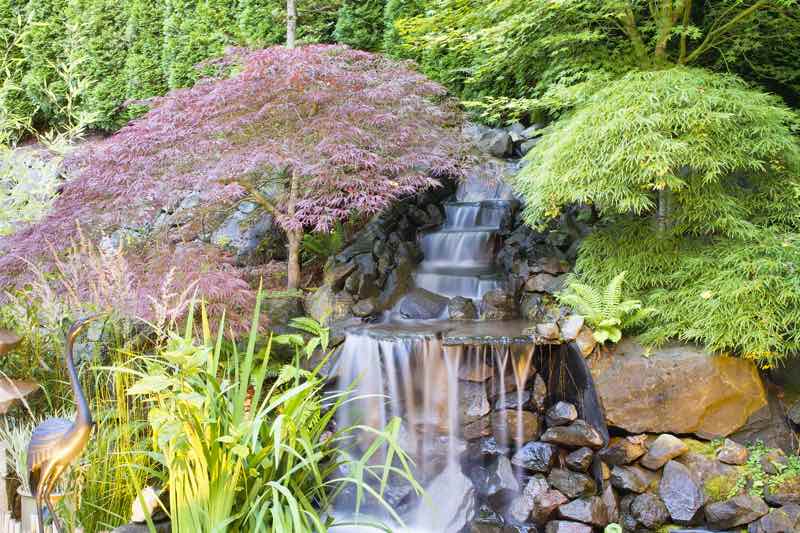 japanese garden waterfall
