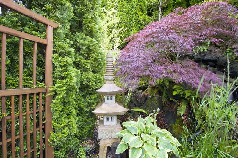 Japanese lantern pagoda