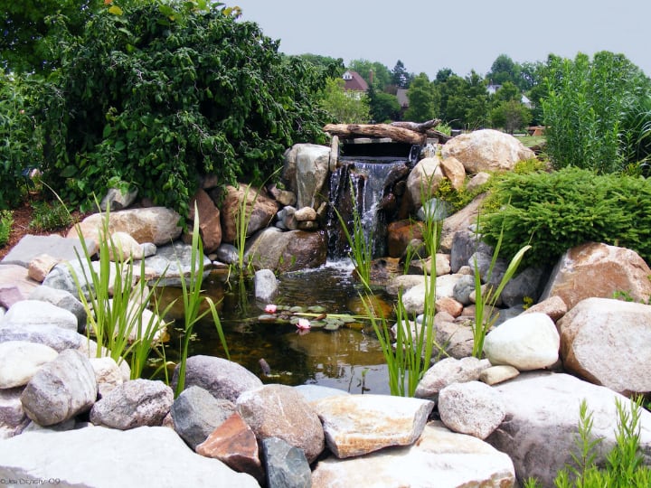 pond waterfall in the garden