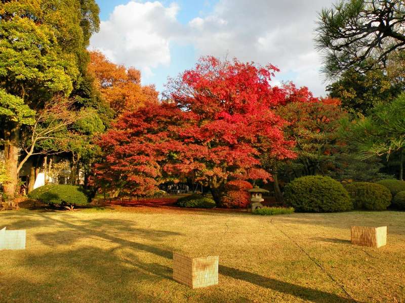 rikugien garden