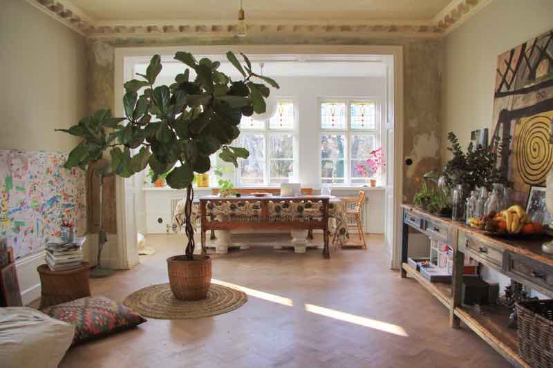 weeping fig in bedroom