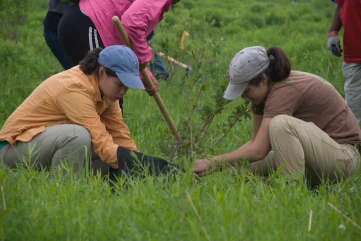 connecting with people through gardening