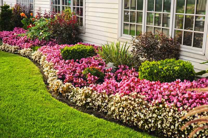 flower garden bed around house